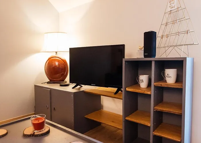 Lägenhet Confortable, Parking Et Jardin Buchères